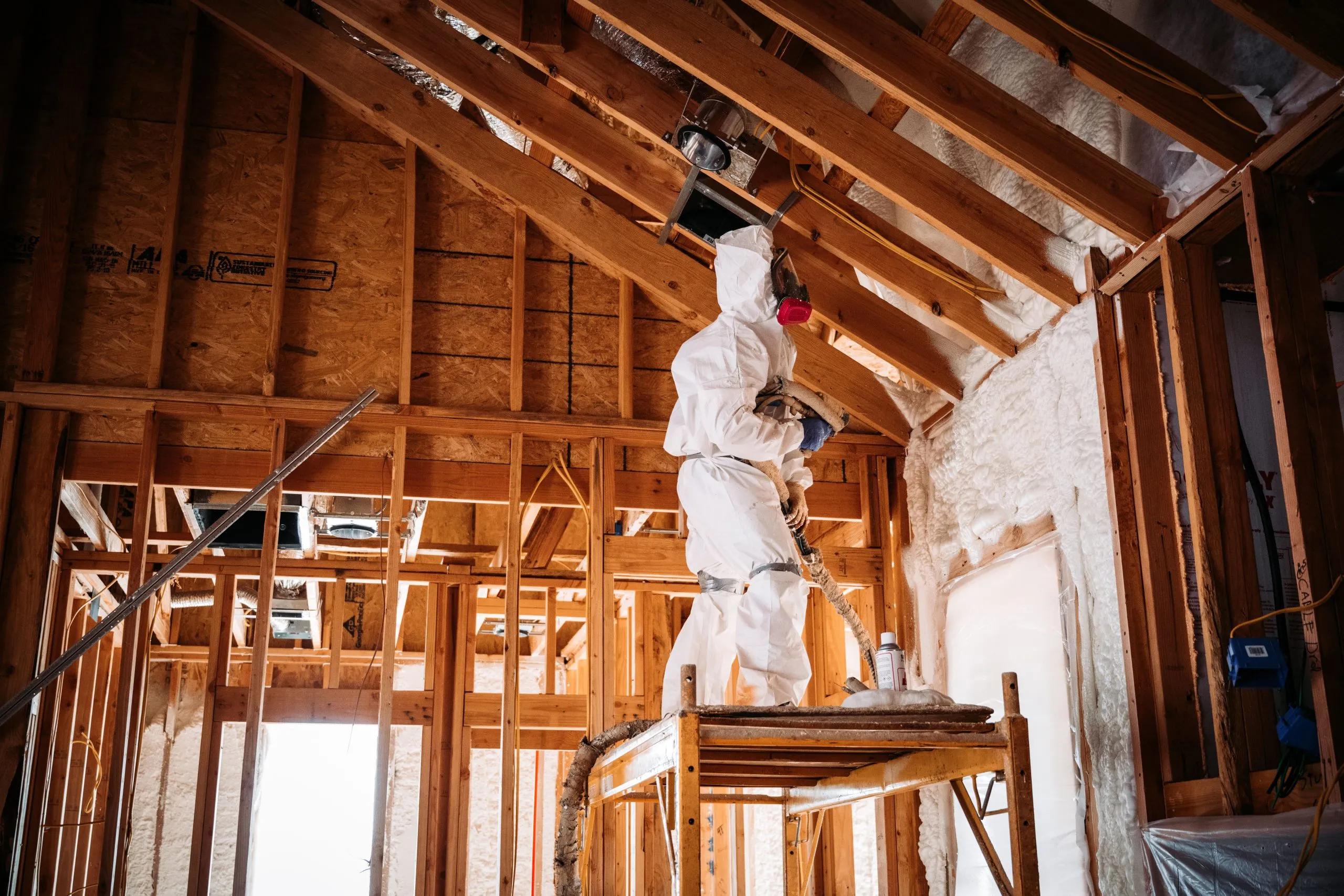 Is Mold in Your Home Making You Sick? How to Know and What to Do in Houston