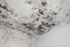 Mold spots and discoloration on ceiling, indicative of a mold problem in Magnolia, TX homes.