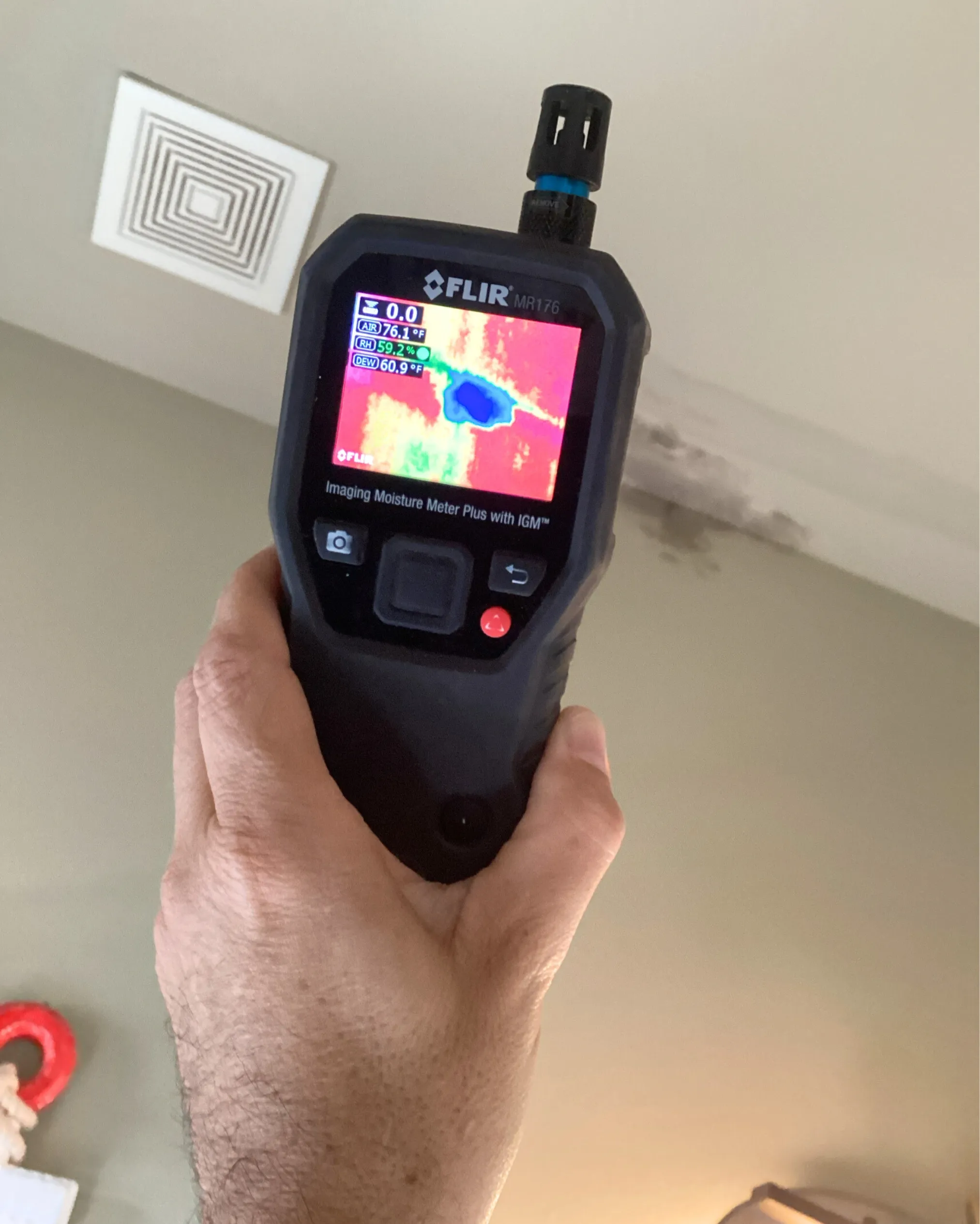 Handheld moisture meter with display