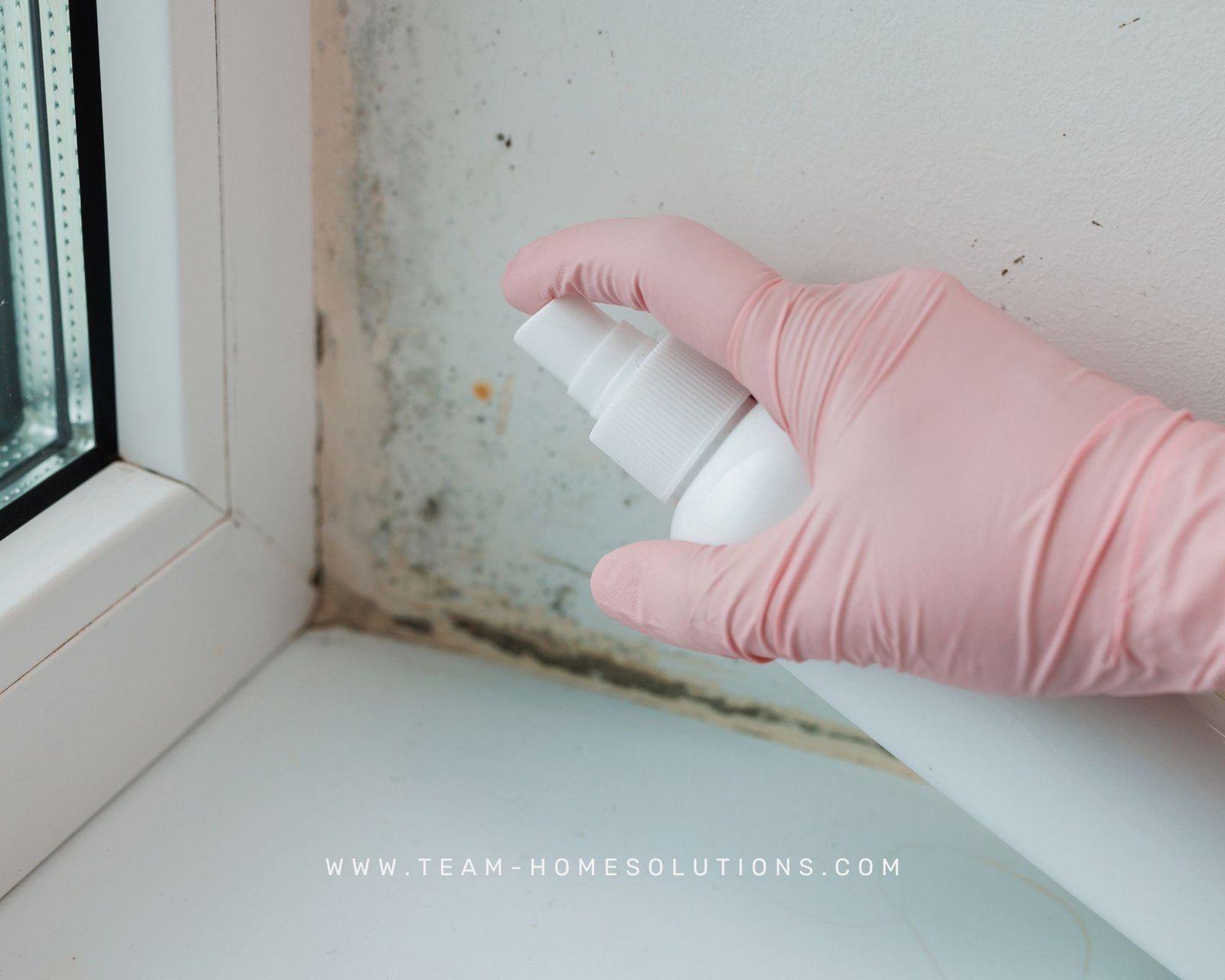 475650519 122228229056030714 7977770511338719876 n