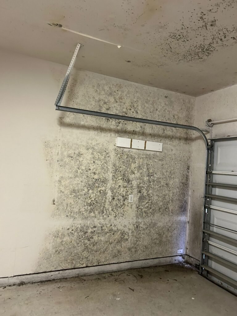 487350740 122239536044030714 3541227914392921945 n