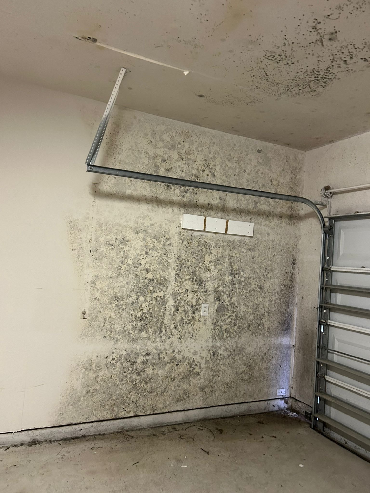 487350740 122239536044030714 3541227914392921945 n