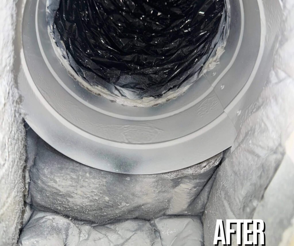 untitled design (27) (1)