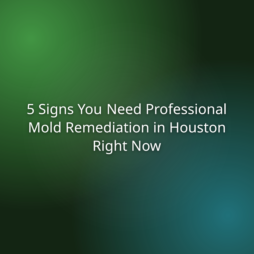 5 Signs You Need Professional Mold Remediation in Houston Right Now