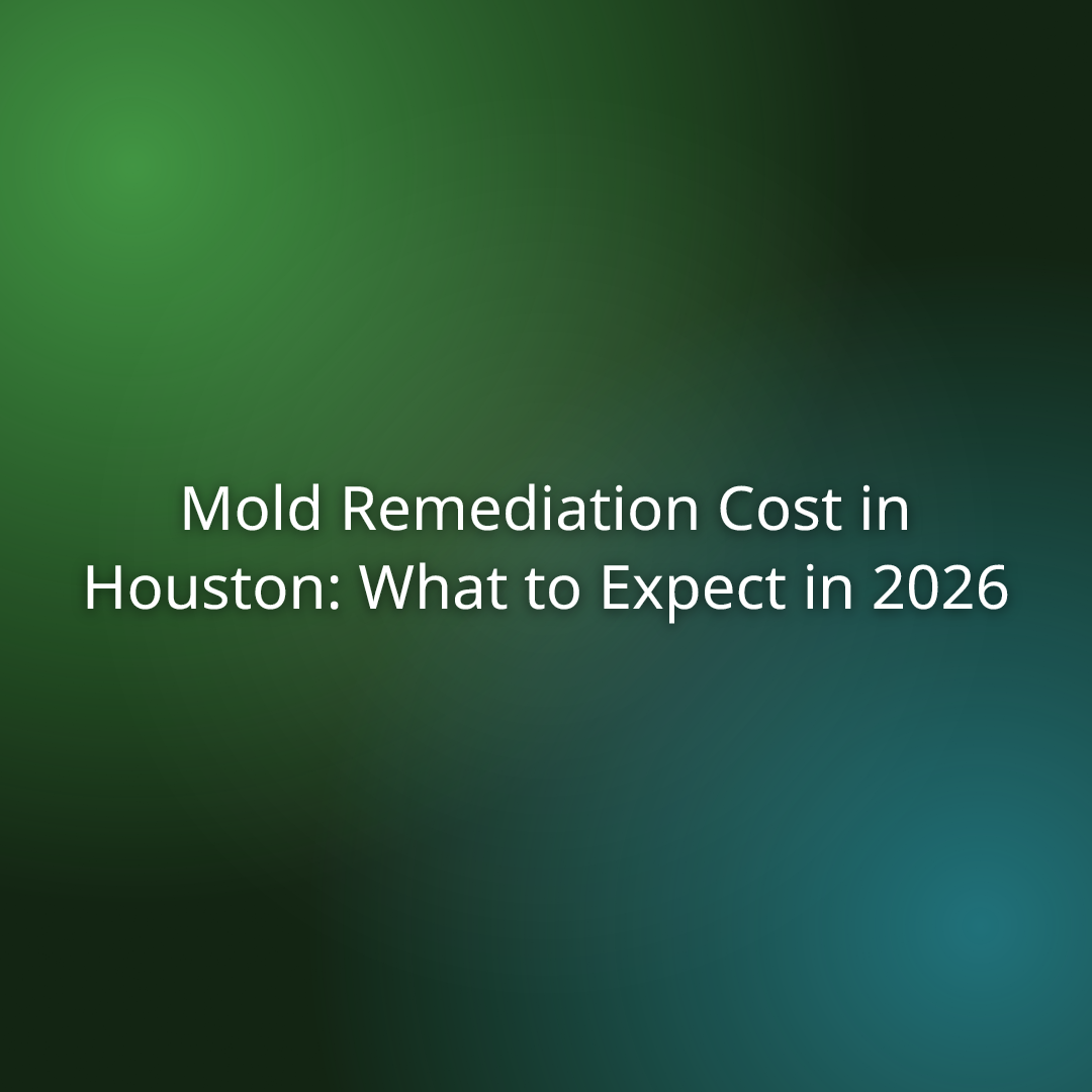 Mold Remediation Cost in Houston: What to Expect in 2026