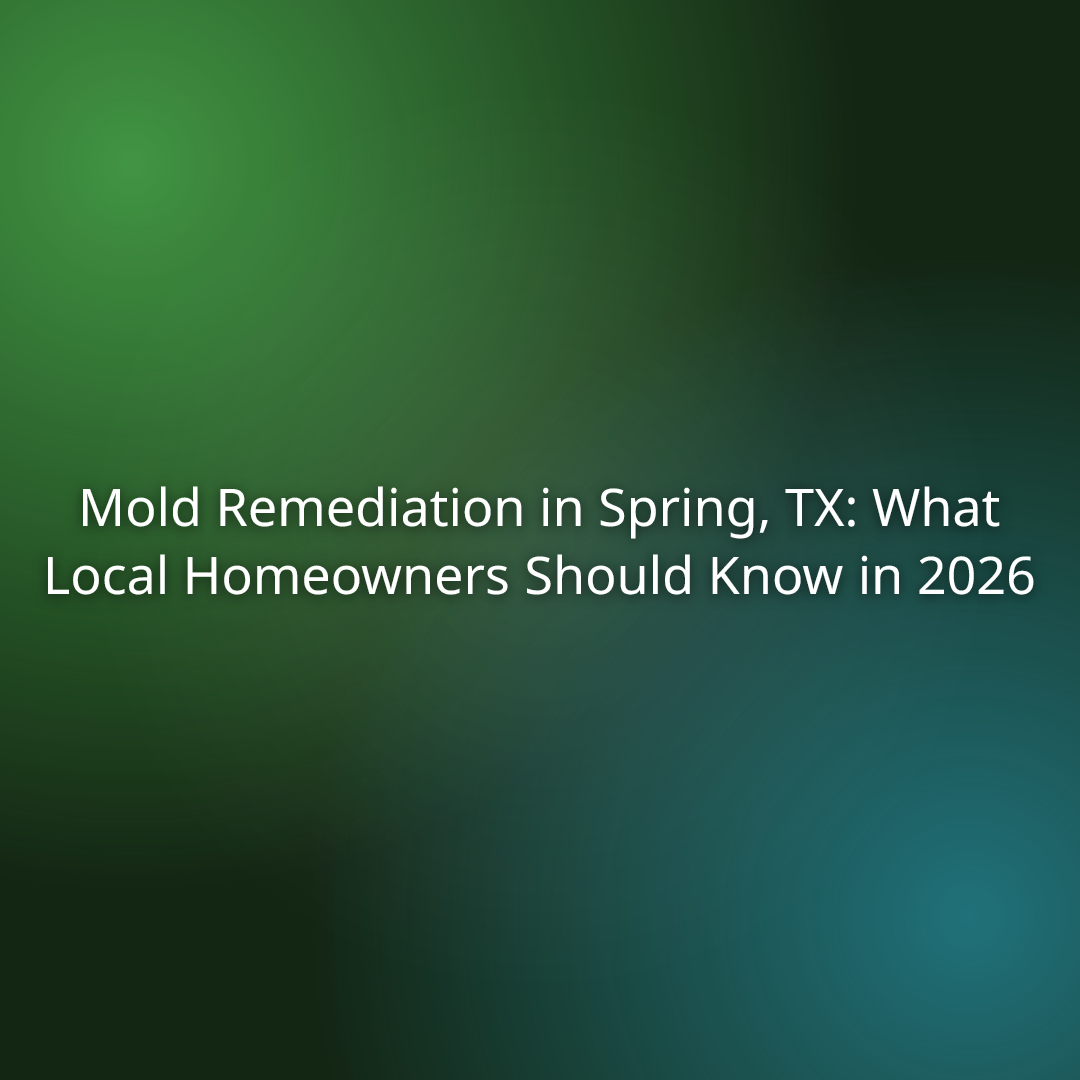 Mold Remediation in Spring, TX: What Local Homeowners Should Know in 2026