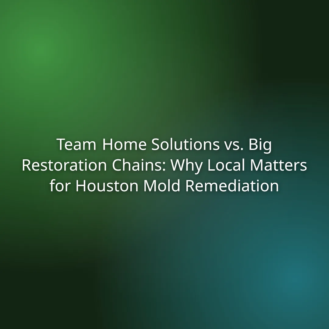 THS vs. Big Restoration Chains: Why Local Matters for Mold Remediation