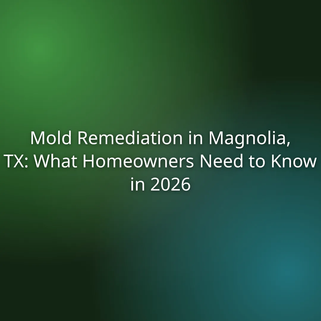 Mold Remediation in Magnolia, TX: What Homeowners Need to Know in 2026
