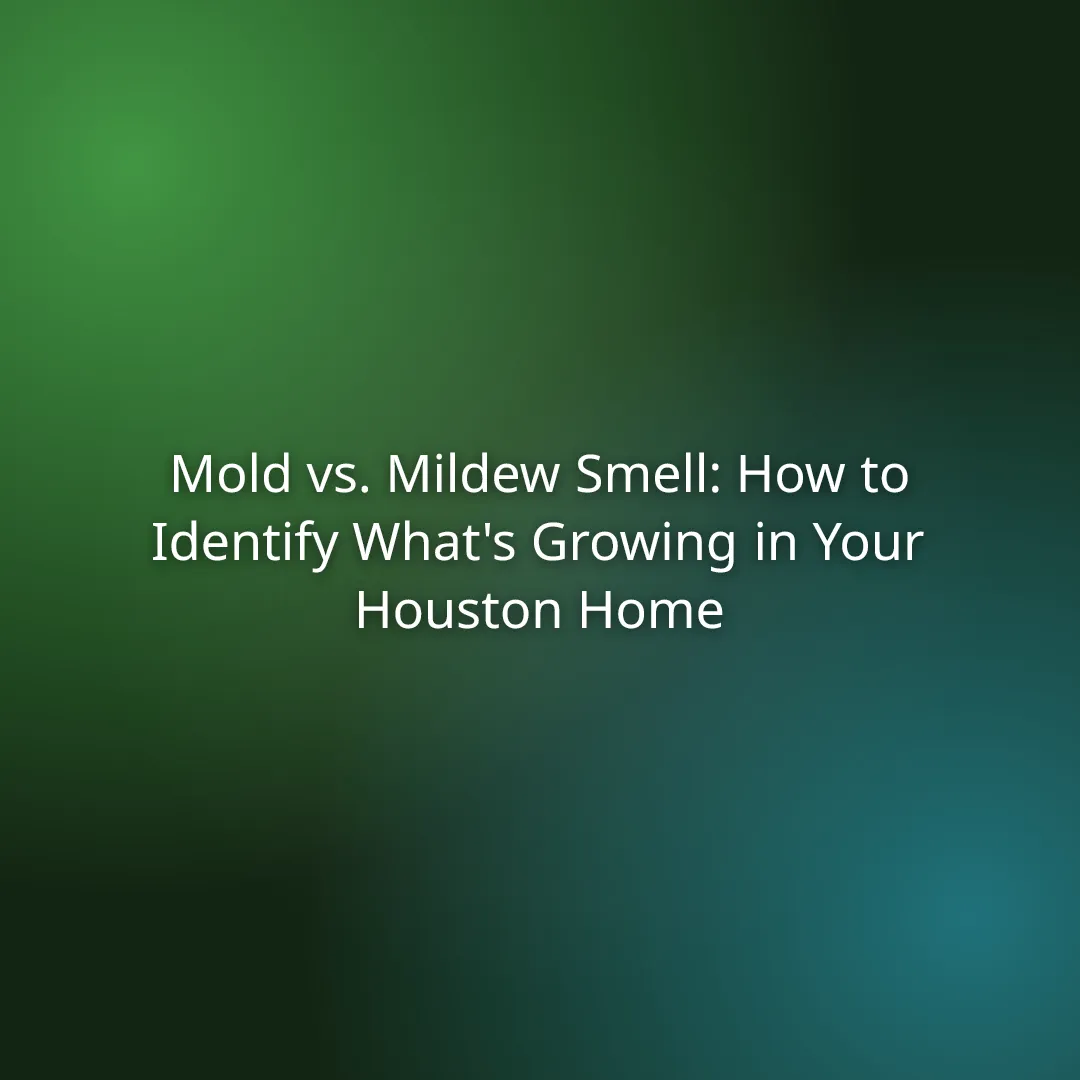 Mold vs. Mildew Smell: How to Identify What’s Growing in Your Houston Home