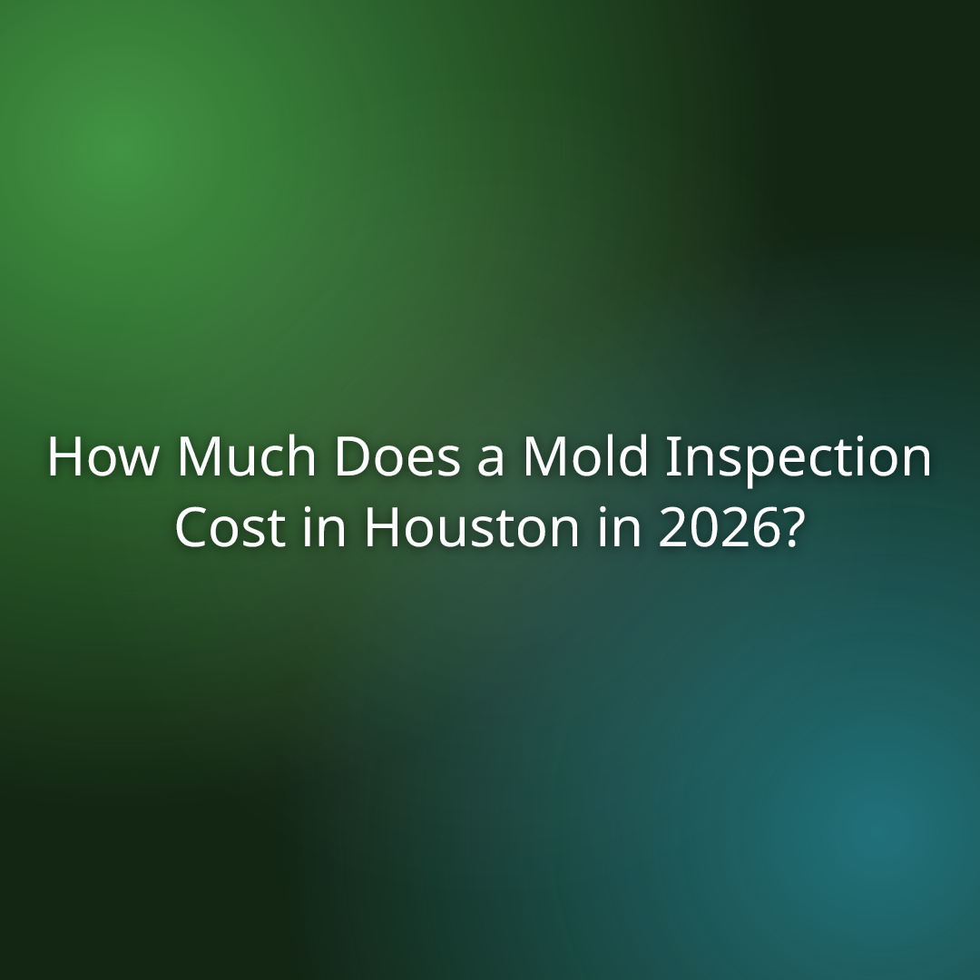 How Much Does a Mold Inspection Cost in Houston in 2026?