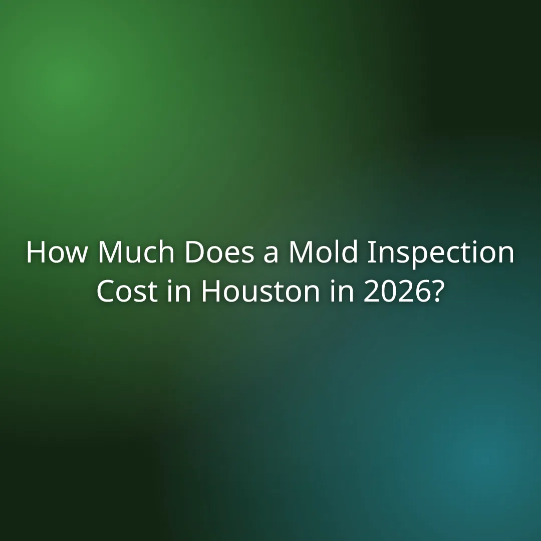 How Much Does a Mold Inspection Cost in Houston in 2026?