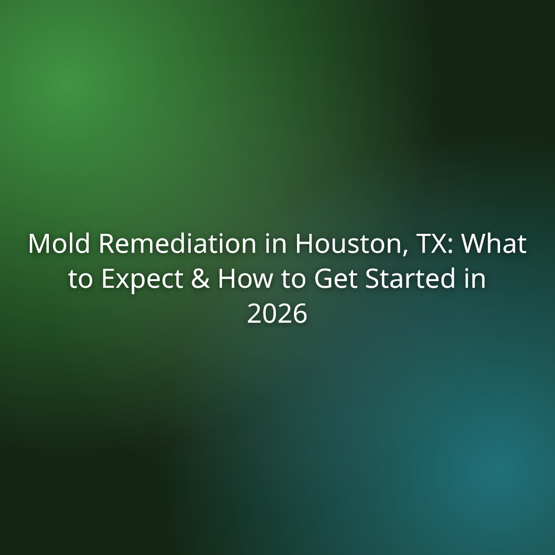 Mold Remediation in Houston, TX: What to Expect & How to Get Started in 2026