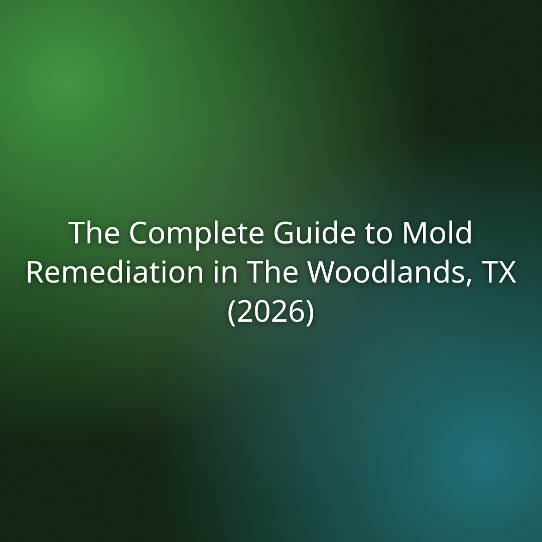 The Complete Guide to Mold Remediation in The Woodlands, TX (2026)
