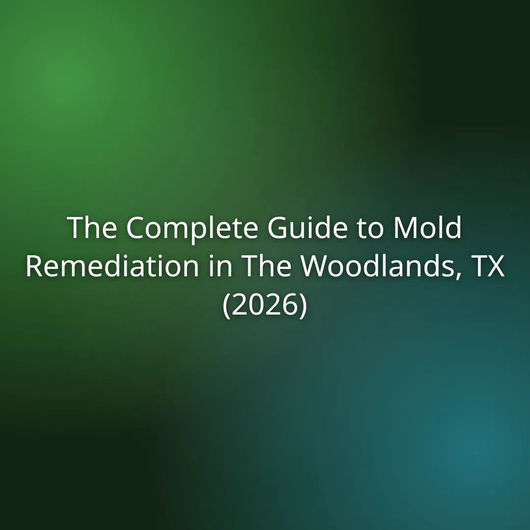 The Complete Guide to Mold Remediation in The Woodlands, TX (2026)