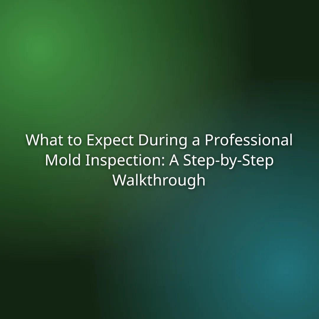 What to Expect During a Professional Mold Inspection: A Step-by-Step Walkthrough