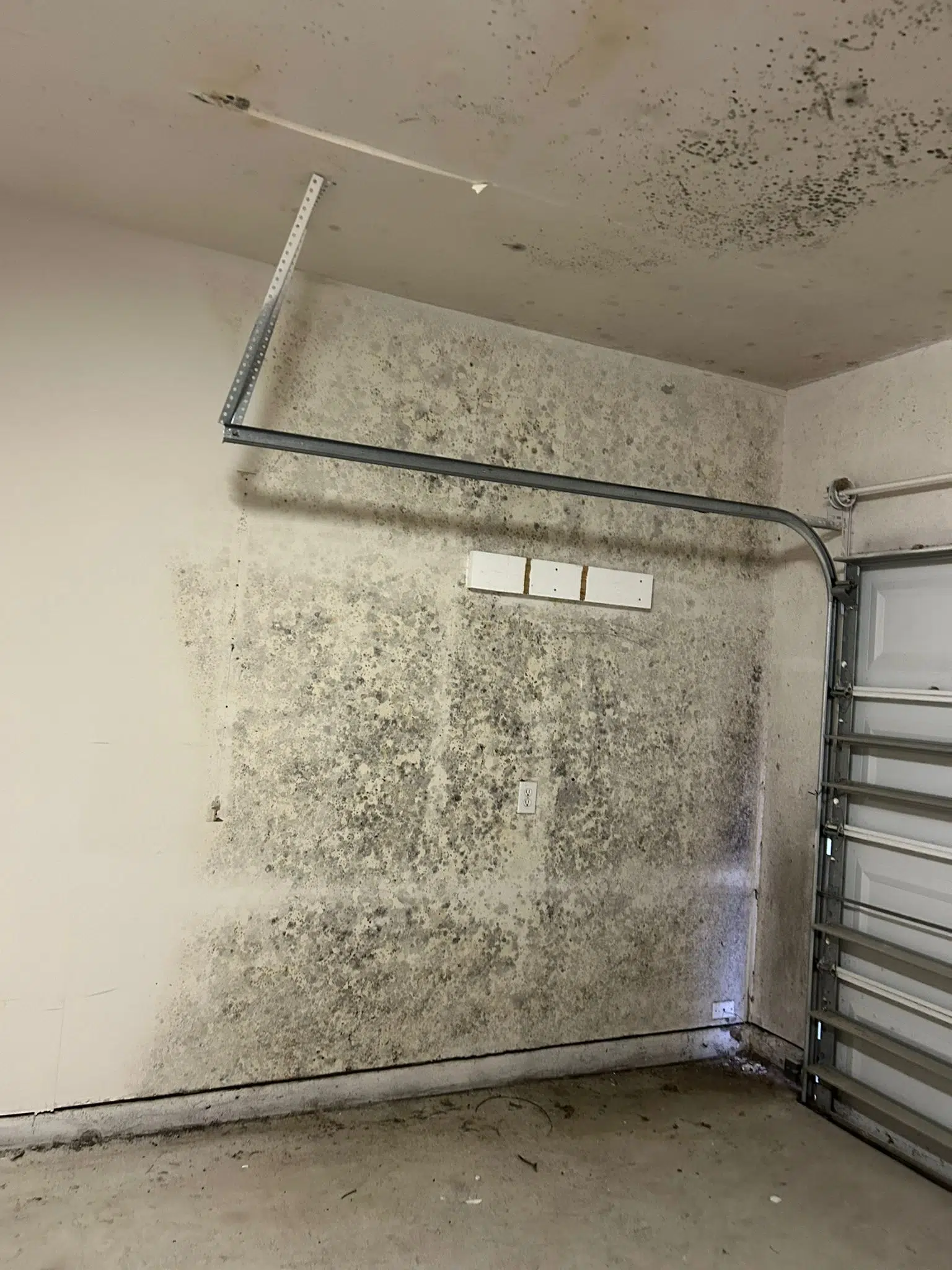 Black mold growth on garage wall in Cypress TX home requiring professional remediation