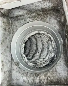 Mold contamination inside HVAC duct requiring professional remediation in Cypress Texas